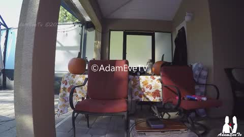 Snapshot of adamevetv chatting on November 1, 2025, 8:33 pm Adam And Eve online show from November 1, 2025, 8:33 pm