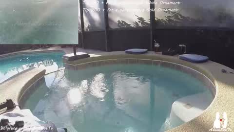 Snapshot of adamevetv chatting on December 20, 2025, 7:54 pm Adam And Eve online show from December 20, 2025, 7:54 pm