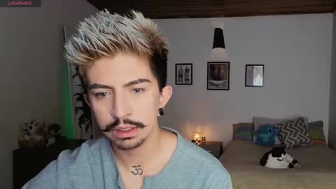      online show from November 12, 2025, 3:56 pm