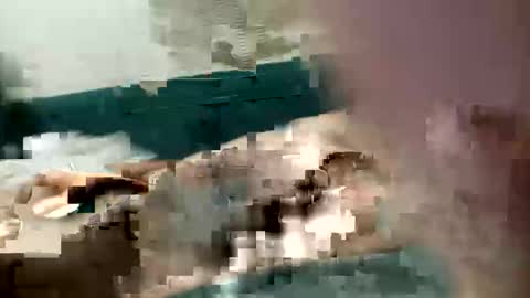 Snapshot of adrodiarellano chatting on October 13, 2025, 2:22 am adrodiarellano online show from October 13, 2025, 2:22 am