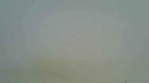 Snapshot of afronubians chatting on March 6, 2025, 8:37 pm afronubians online show from March 6, 2025, 8:37 pm