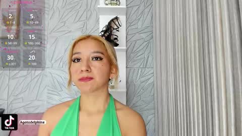 Snapshot of agatadelphine_mr chatting on December 22, 2025, 12:13 pm Agatadelphine online show from December 22, 2025, 12:13 pm