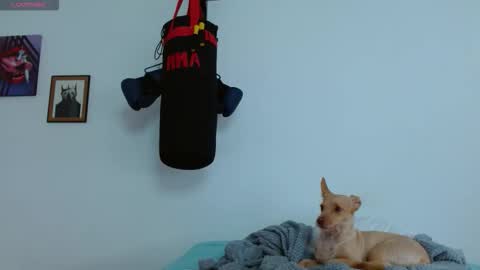 Snapshot of agness_6 chatting on October 20, 2025, 6:08 pm Agness online show from October 20, 2025, 6:08 pm