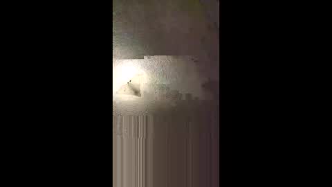 Snapshot of aj297914 chatting on February 8, 2026, 5:22 am aj297914 online show from February 8, 2026, 5:22 am