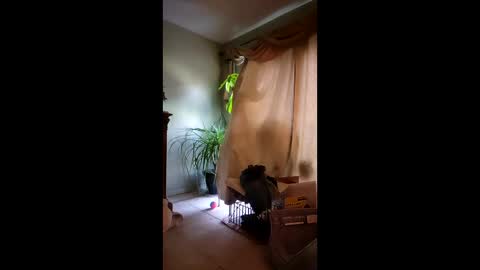 ajiii1313 online show from April 10, 2026, 12:21 pm