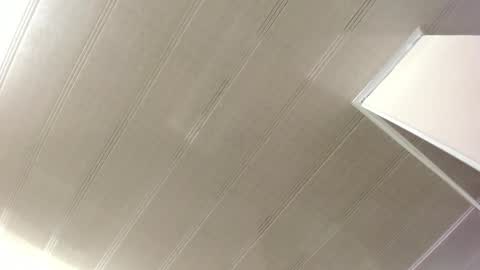 Maeve  online show from February 12, 2025, 10:35 am