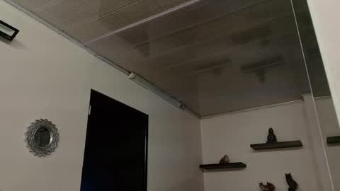 Maeve  online show from September 25, 2025, 10:52 am