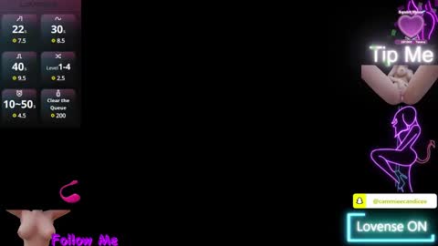 Snapshot of alaskasky chatting on February 3, 2025, 12:36 am TheAlaskaSky online show from February 3, 2025, 12:36 am