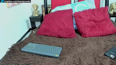 Snapshot of alecstar22 chatting on December 23, 2024, 11:49 pm Andres star online show from December 23, 2024, 11:49 pm