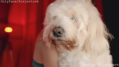 Snapshot of alejastorm chatting on February 26, 2026, 1:15 am Alejandra online show from February 26, 2026, 1:15 am