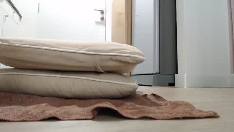 Nicha online show from October 18, 2025, 3:20 am