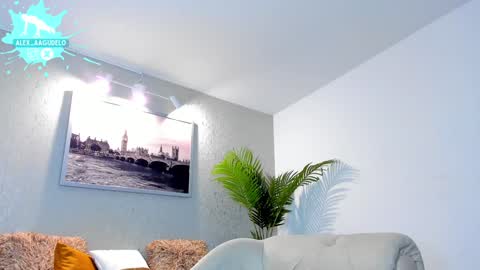 x   online show from December 24, 2024, 8:00 am