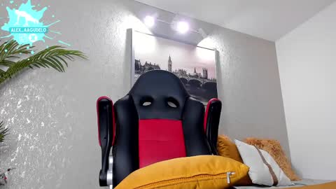 x   online show from February 17, 2025, 9:56 am