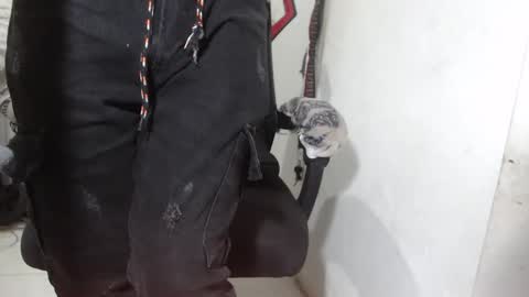 Alexamdergal online show from March 12, 2026, 12:17 am