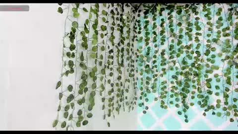 chicos hot online show from November 18, 2025, 2:21 pm