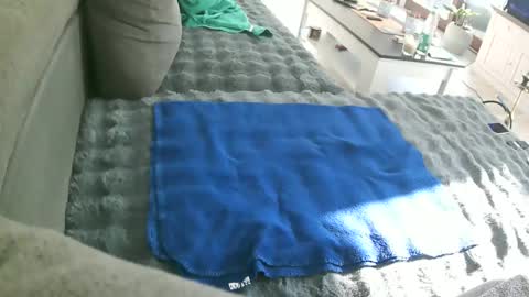 Snapshot of alexfresh84 chatting on February 15, 2026, 11:08 am Doggystyle online show from February 15, 2026, 11:08 am