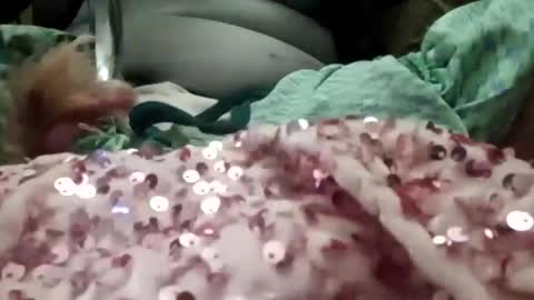 alexis0007754689 online show from January 6, 2026, 7:39 pm