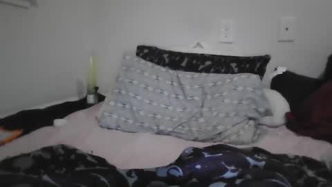 Snapshot of alexvines chatting on December 27, 2024, 9:54 pm Alex Vines online show from December 27, 2024, 9:54 pm