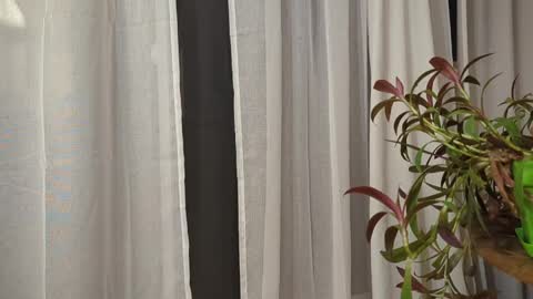 ali500886 online show from March 30, 2026, 5:52 am