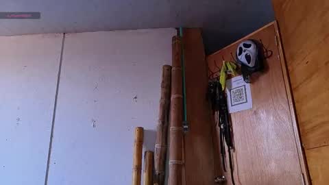 Snapshot of alice_randyy chatting on February 12, 2026, 1:17 pm alice_randyy online show from February 12, 2026, 1:17 pm