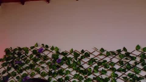 alice_rous21 online show from October 23, 2025, 1:54 pm