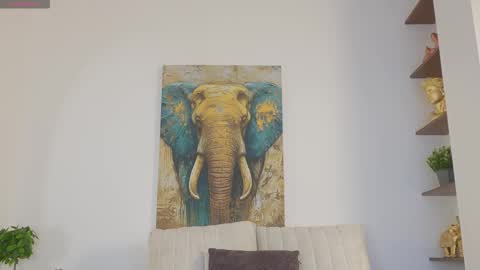 Alice Corner online show from February 23, 2026, 11:51 am