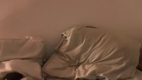 Snapshot of alicehugo chatting on January 27, 2025, 12:12 am alicehugo online show from January 27, 2025, 12:12 am