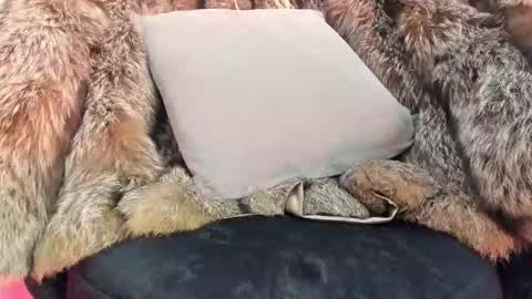 ALICE  online show from November 20, 2025, 4:34 am