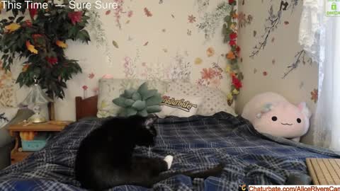 Snapshot of aliceriverscam chatting on January 18, 2025, 8:40 pm Alice Rivers ---- Enter my public Discord- online show from January 18, 2025, 8:40 pm