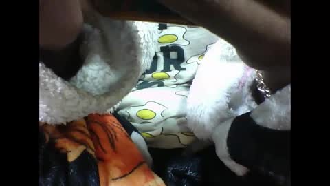 alicia253177 online show from September 10, 2025, 6:30 pm