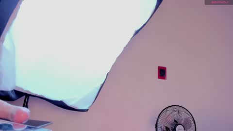 Snapshot of aliice_smithh chatting on December 20, 2024, 12:49 pm Alice online show from December 20, 2024, 12:49 pm