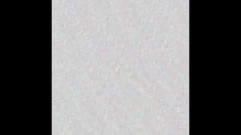 Alisse online show from October 31, 2025, 12:06 pm