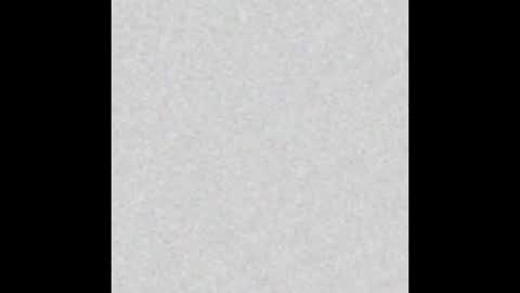 Alisse online show from December 3, 2025, 12:03 pm