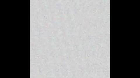 Alisse online show from December 4, 2025, 12:03 pm