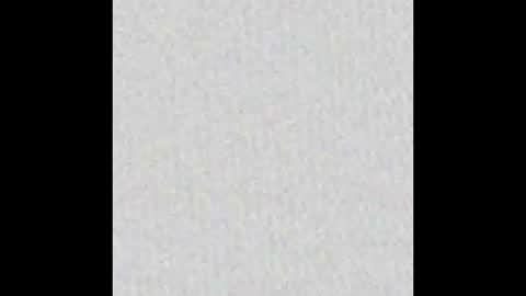 Alisse online show from December 20, 2025, 12:01 pm