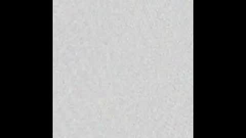 Alisse online show from January 15, 2026, 11:59 am