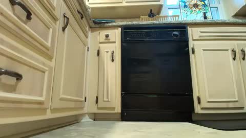 wishlist on bio online show from December 4, 2025, 7:22 pm