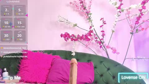 Snapshot of almendraevans chatting on January 31, 2025, 3:22 pm ALMENDRAEVANS online show from January 31, 2025, 3:22 pm