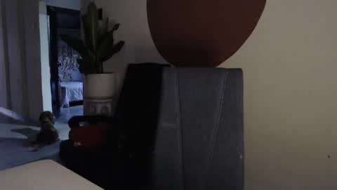 STEPHAN  online show from December 17, 2025, 11:27 am