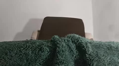 alotofcream4u online show from October 14, 2025, 5:30 am