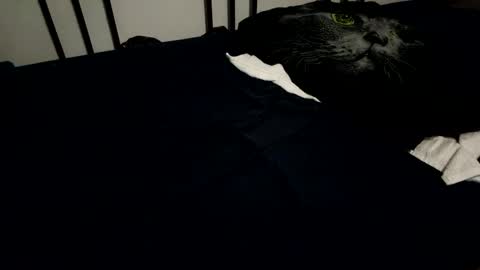 amadeusz online show from December 6, 2024, 10:19 pm