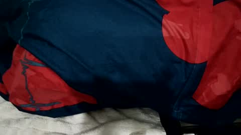 amadeusz online show from December 22, 2024, 1:34 am