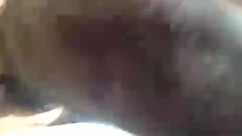 Snapshot of amandapanda1 chatting on July 19, 2026, 1:48 pm amandapanda1 online show from July 19, 2026, 1:48 pm