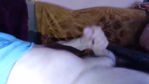 amazingcuteboy845 online show from April 15, 2026, 8:20 pm