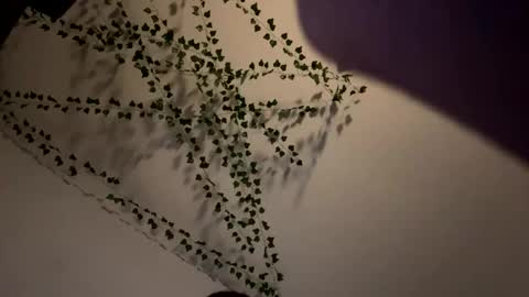 Snapshot of amberispurple chatting on December 8, 2024, 4:04 am AmberIsPurple online show from December 8, 2024, 4:04 am