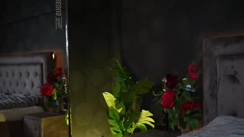  Amelia  online show from November 20, 2025, 6:13 am