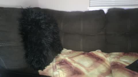 Snapshot of amiri_sweater chatting on February 25, 2025, 6:36 am amiri_sweater online show from February 25, 2025, 6:36 am