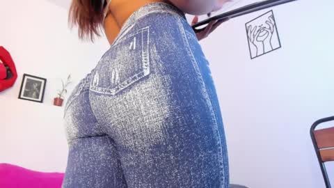 Snapshot of amisi_ari chatting on January 8, 2025, 8:07 pm hi guys im ariani ill be off till december 1st for vacation if u want u can add me on snapchat by bio and talk or play there online show from January 8, 2025, 8:07 pm