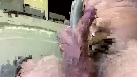 amok1001 online show from February 8, 2026, 8:07 am