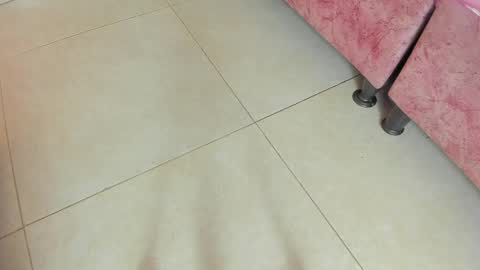 amy__rose__ online show from May 19, 2026, 3:02 am